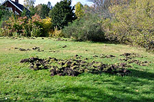 2009 10 07_0001.jpg