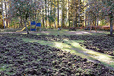 2009 10 07_0007.jpg