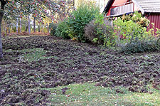 2009 10 07_0010.jpg