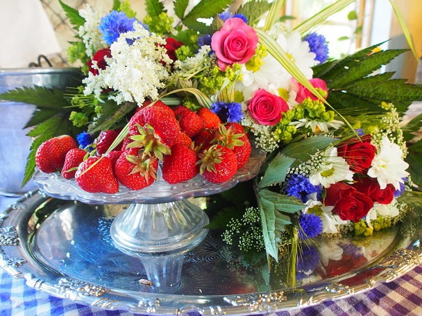 P6200005_1_0.JPG