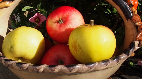 PA110226.JPG